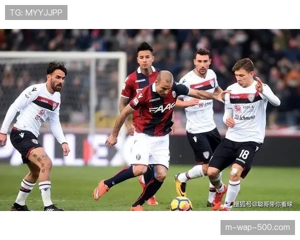 维罗纳1-2不敌帕尔马 保级形势依然严峻